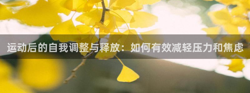 b体育必一运动官网