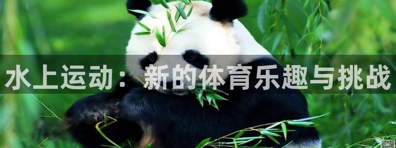 必一运动