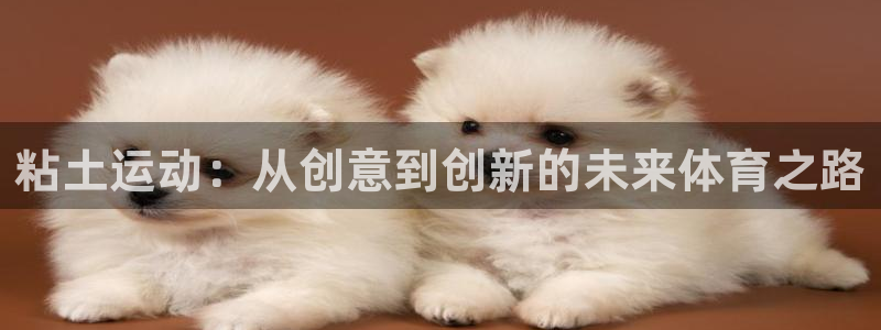 必一运动bsport体育