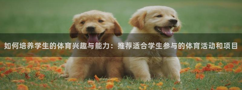 必一运动体育：如何培养学生的体育兴趣与能力：推荐适合学生参与的体育活动和项目