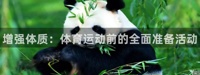 必一运动：增强体质：体育运动前的全面准备活动