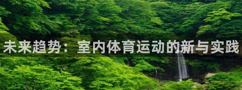 bsports必一运动：未来趋势：室内体育运动的新与实践