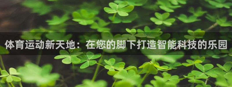 必一运动体育官网