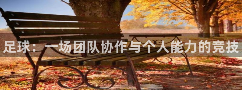 必一运动官网入口