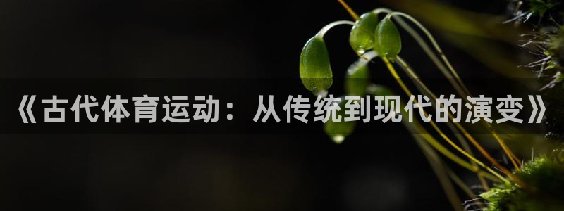 必一运动app