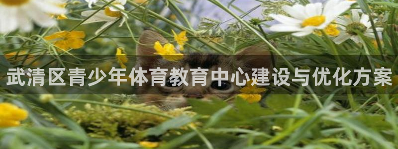 必一运动：武清区青少年体育教育中心建设与优化方案